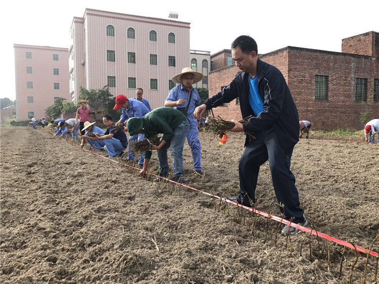 百亿游戏(中国区)官方网站入口