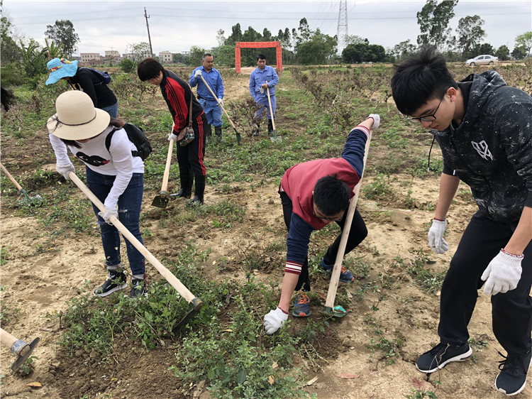 百亿游戏(中国区)官方网站入口